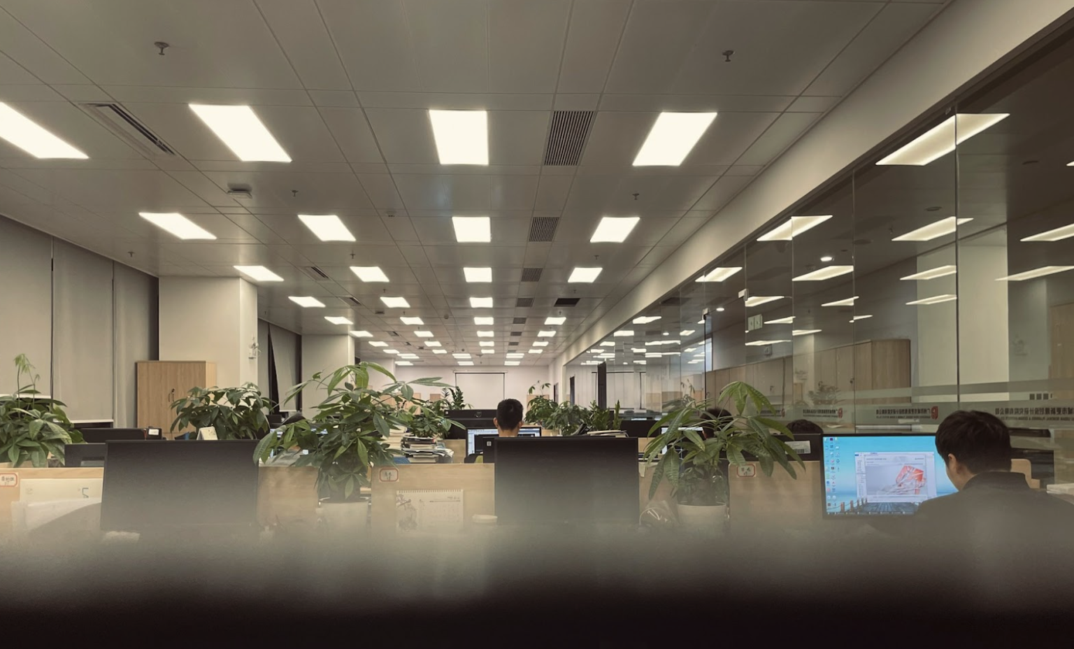 Commercial office lighting control environment with ceiling LED fixtures and networked workstations, illustrating a structured Lutron control system that relies on twisted-pair communication cable and proper jacket ratings for reliable performance.