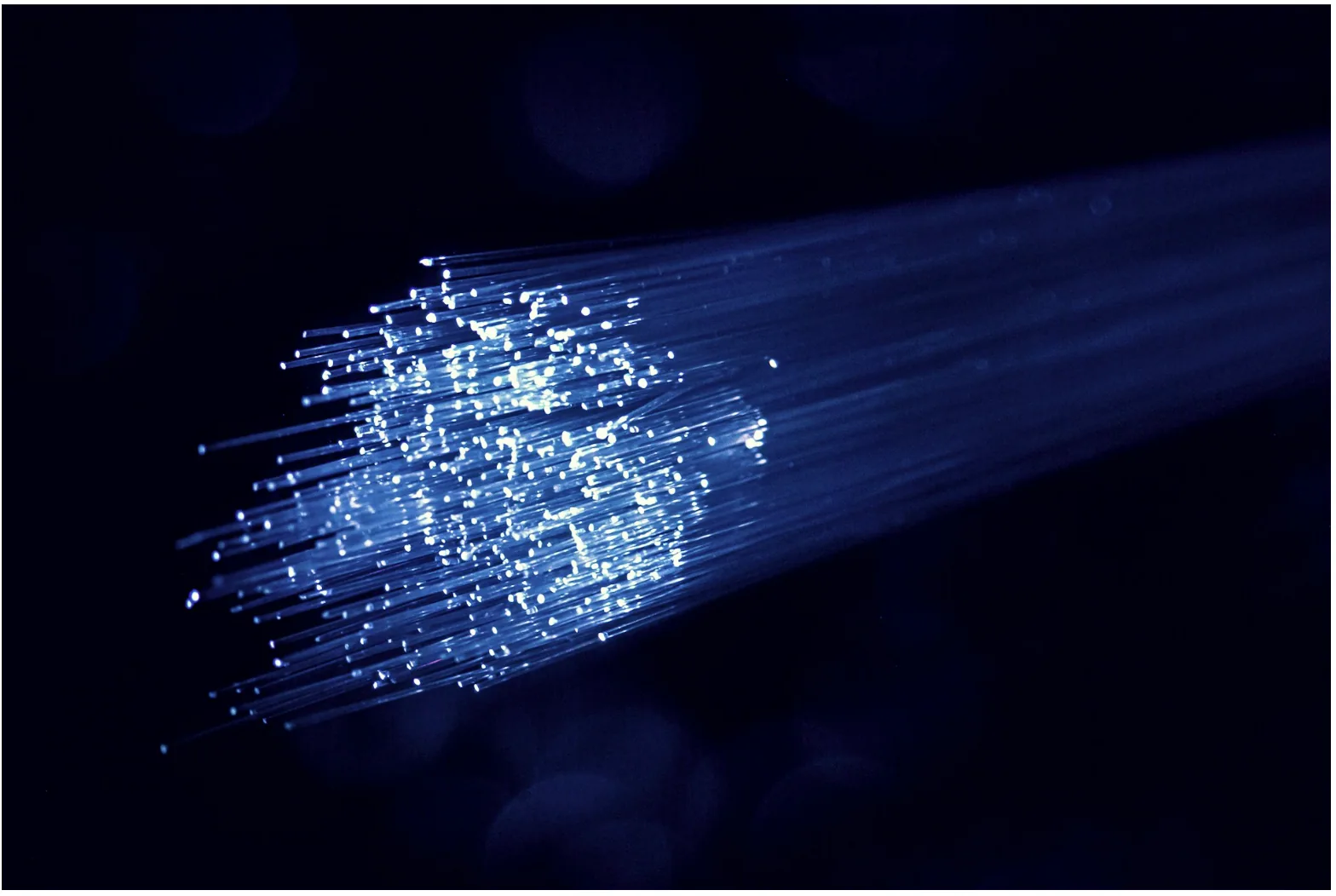 Close-up of illuminated fiber optic strands representing premade fiber optic cable used in enterprise network infrastructure and data transmission