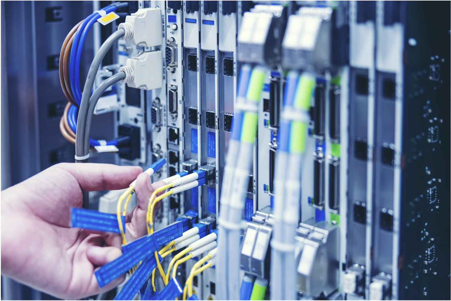 Technician connecting color-coded Ethernet cables to a network switch in a server rack, illustrating Ethernet cable colors and structured network standards.